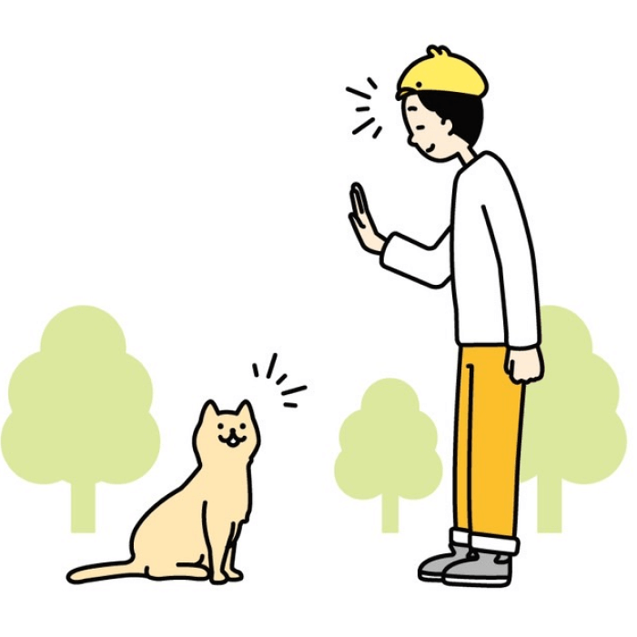 通りすがりに猫が挨拶してくれるようになる